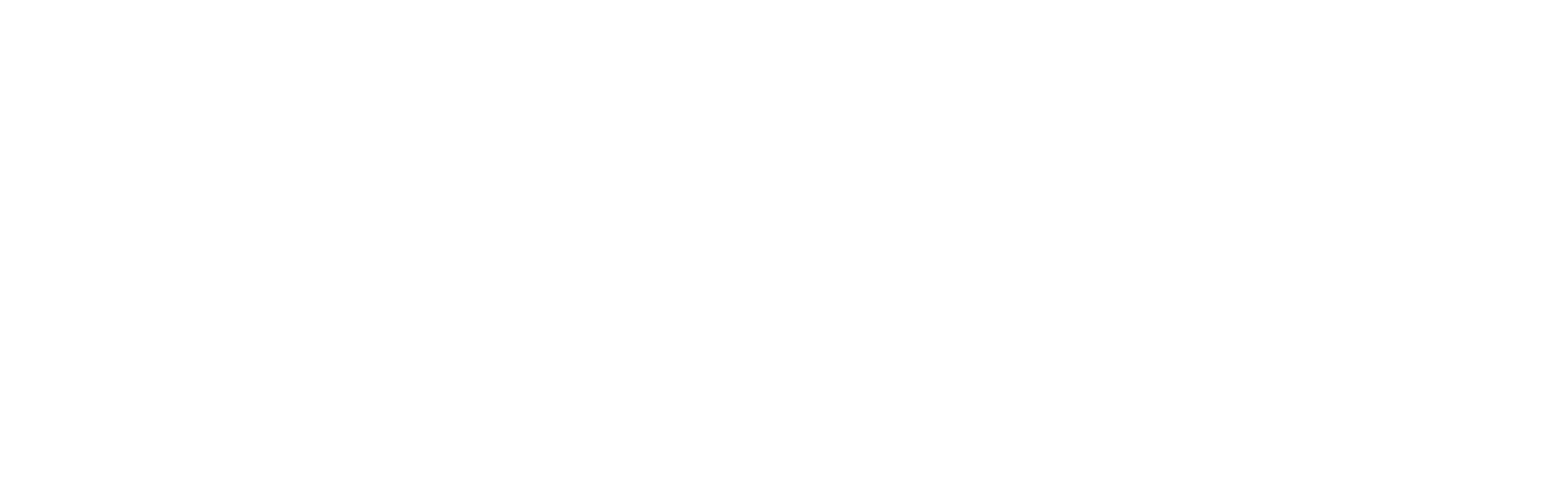 Logo Castrum Capital